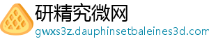 研精究微网